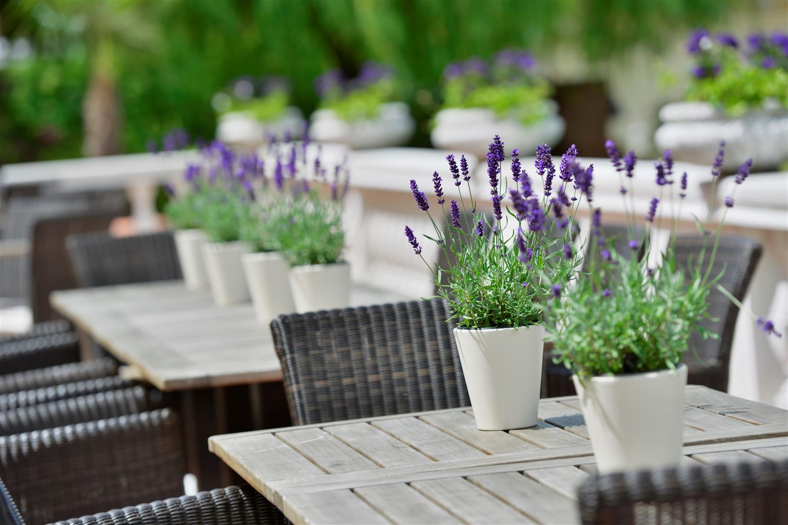 Hotel Der Lindenhof Gotha Ngoại thất bức ảnh